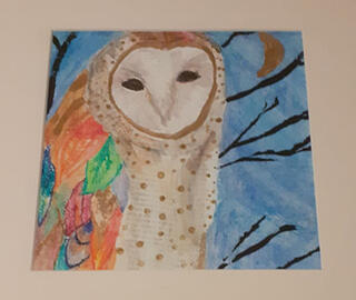 bard owl