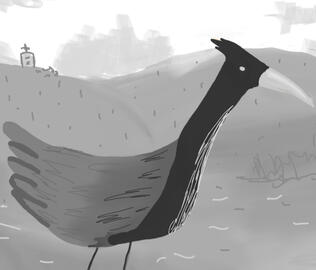 dead bird